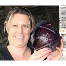 SPRAY FREE RED CABBAGE MEDIUM SIZE Each KATIKATI Grown